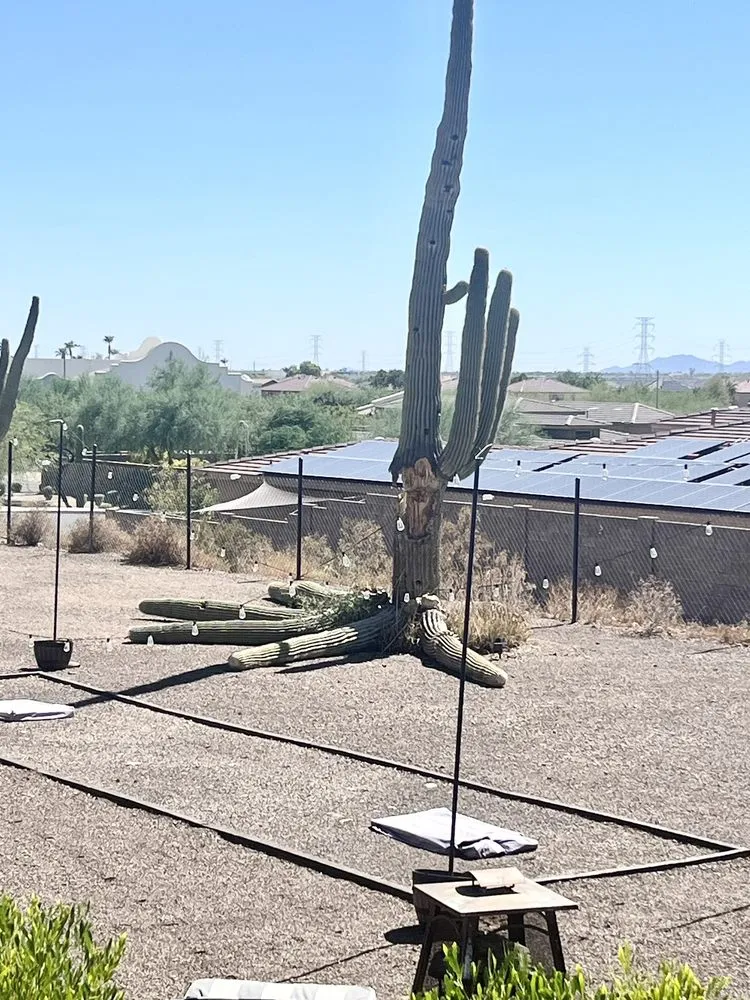 Affordable lawn mowing service for residential properties across Phoenix, AZ - Alliance Manpower