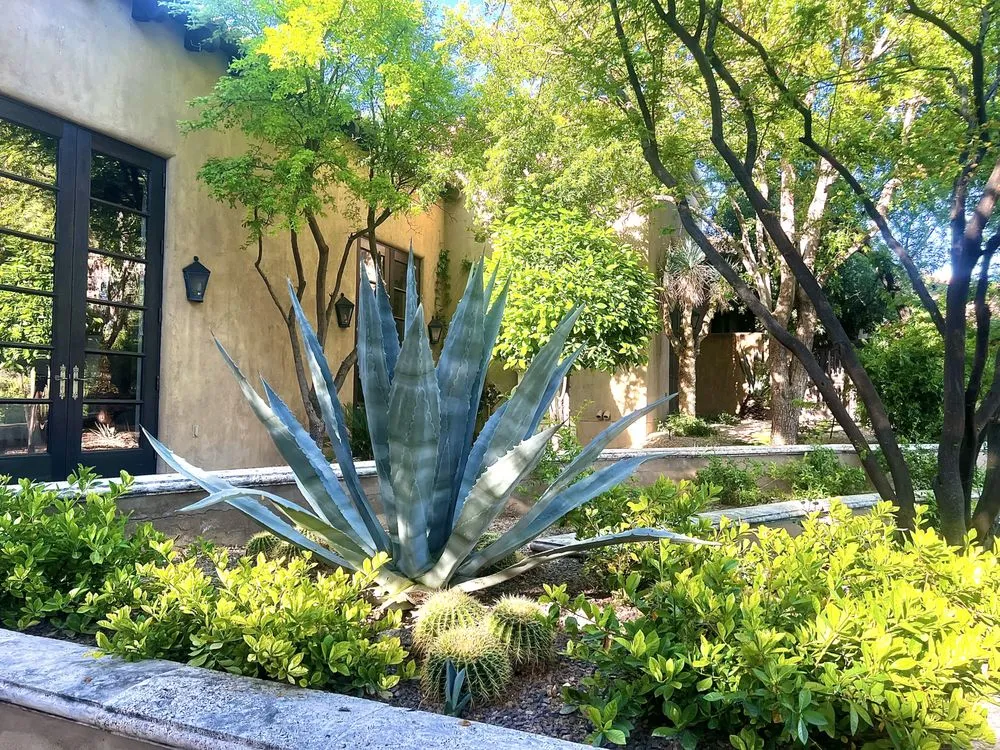 Local yard cleanup service in Phoenix, AZ - Alliance Manpower