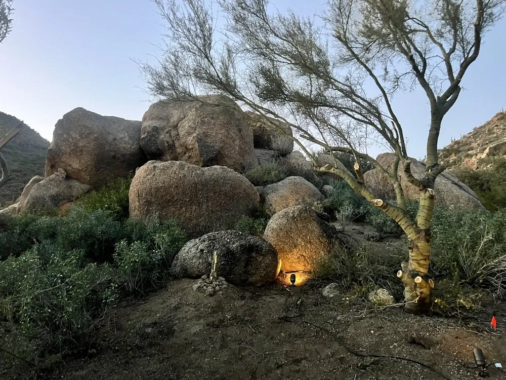 Custom yard cleanup service for homes in Phoenix, AZ by Alliance Manpower