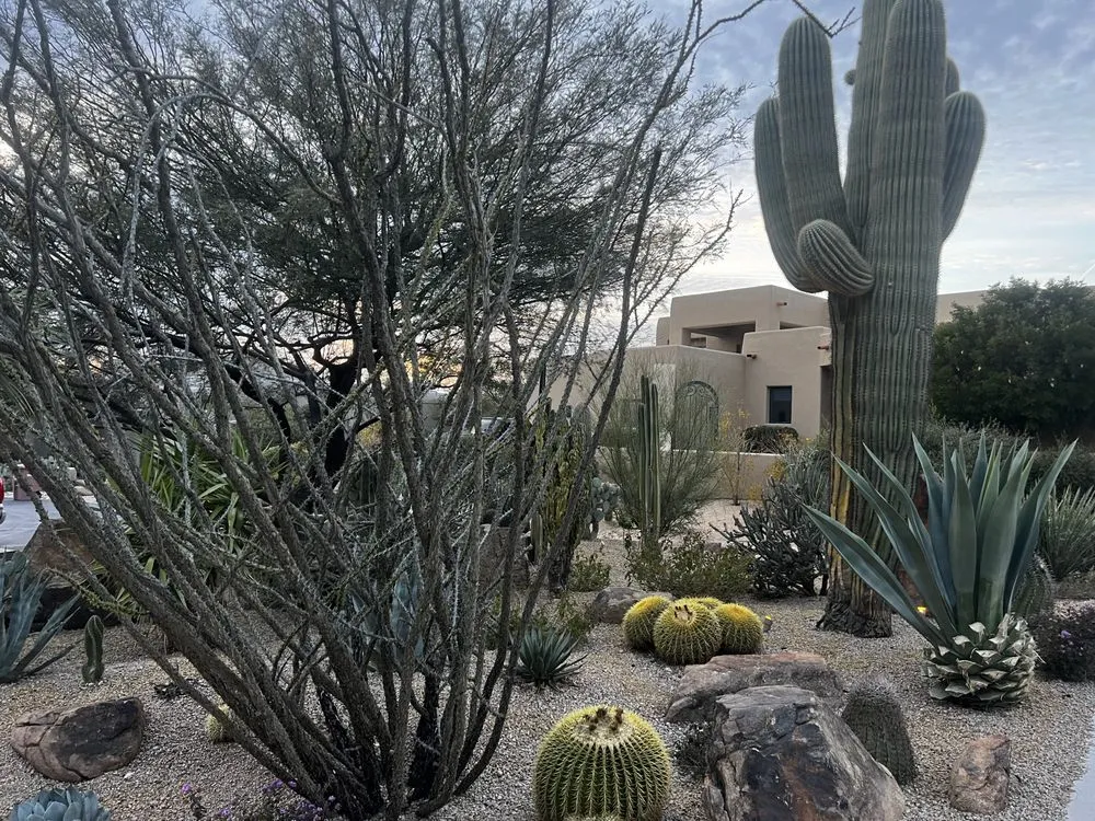 Affordable landscaping services in Phoenix, AZ - Alliance Manpower