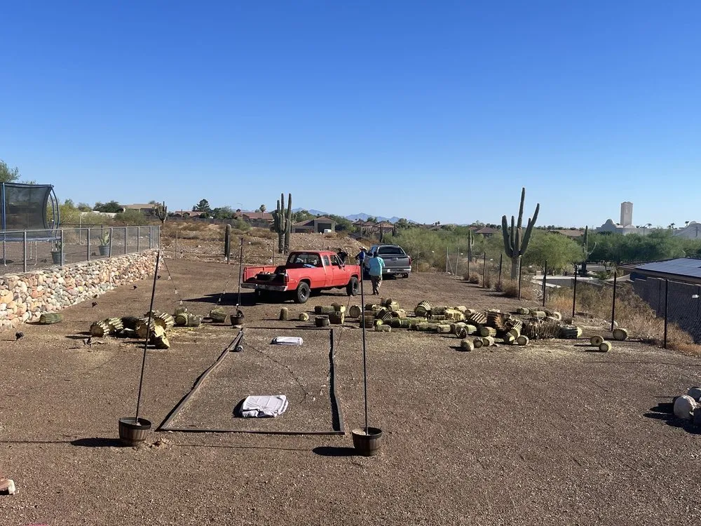 Affordable landscaping services experts serving Phoenix, AZ - Alliance Manpower