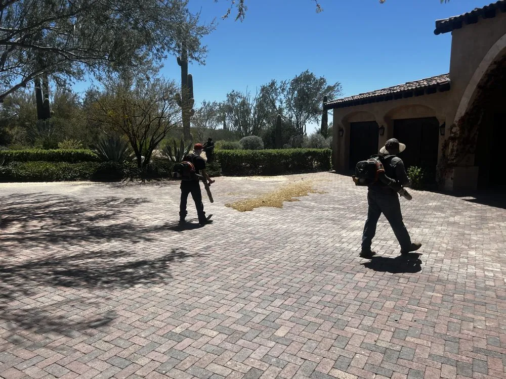 Top-rated lawn mowing service for outdoor upgrades across Phoenix, AZ - Alliance Manpower