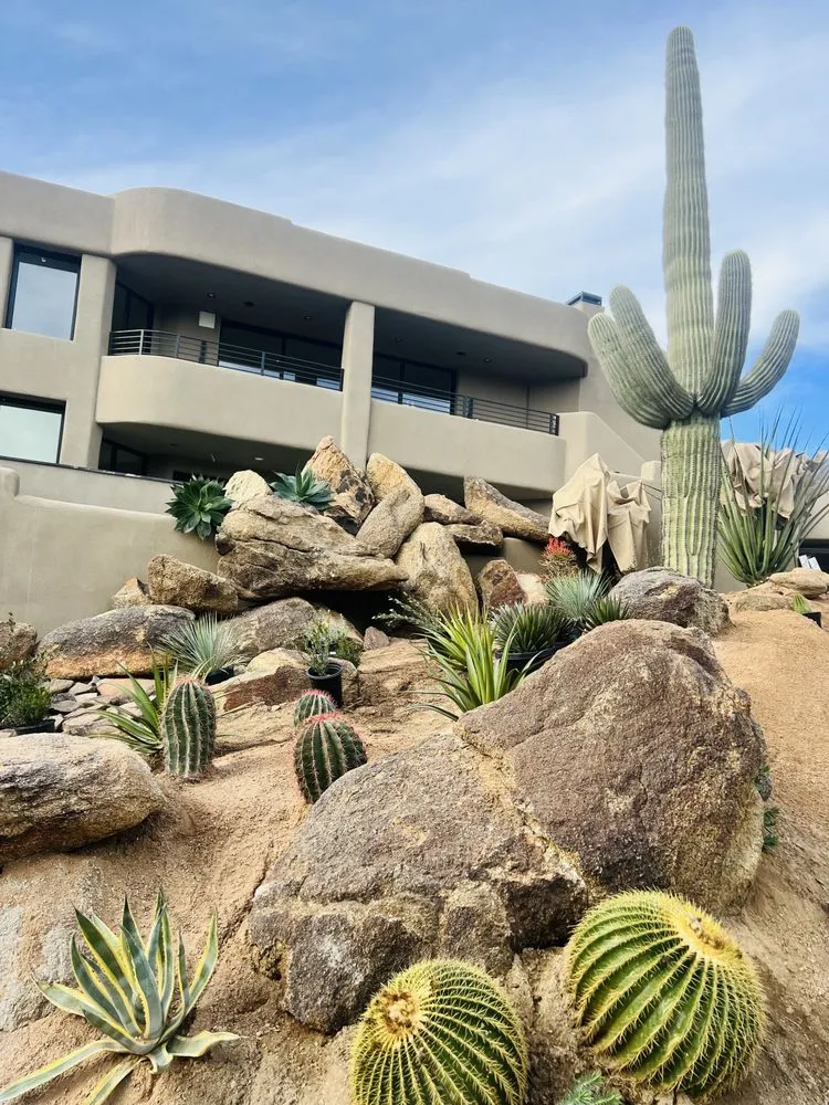 Expert landscape installation experts serving Phoenix, AZ - Alliance Manpower