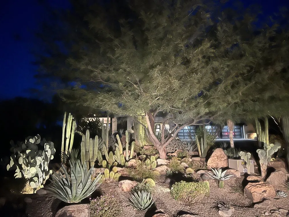 Professional lawn care service experts serving Phoenix, AZ - Alliance Manpower