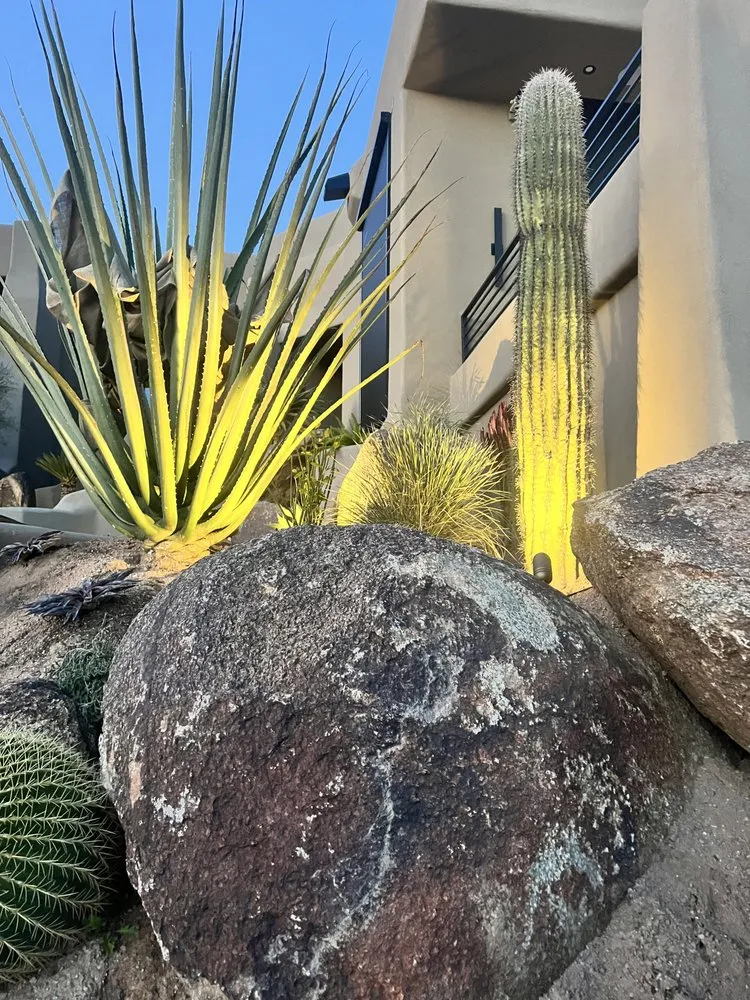 Local yard maintenance in Phoenix, AZ by Alliance Manpower