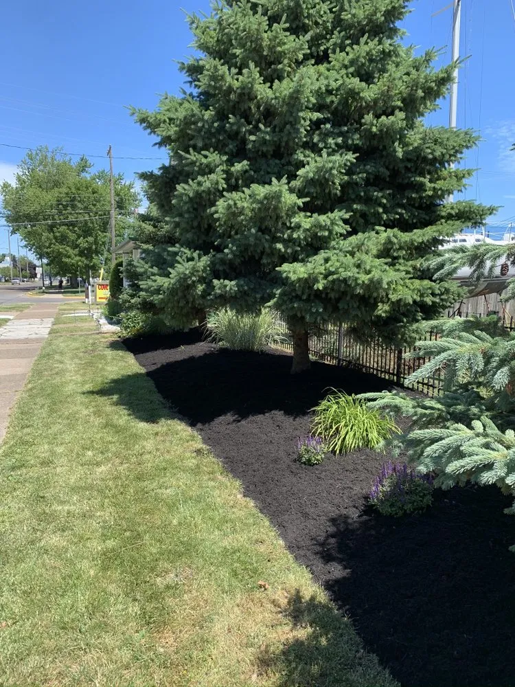 Local landscape installation in Sandusky, OH by Alliance Property Management Services