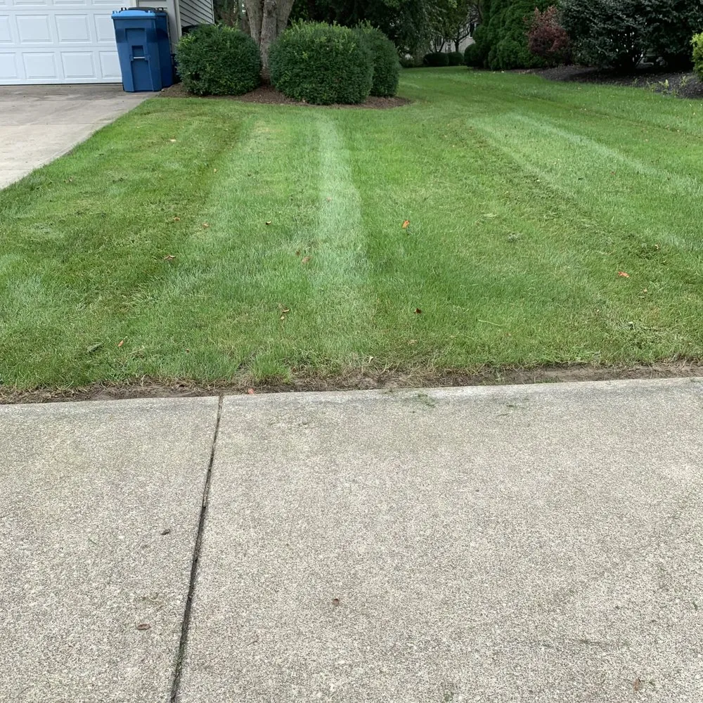 Affordable yard cleanup service experts serving Sandusky, OH - Alliance Property Management Services