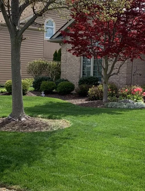 Trusted lawn care service with custom design across Sandusky, OH - Alliance Property Management Services