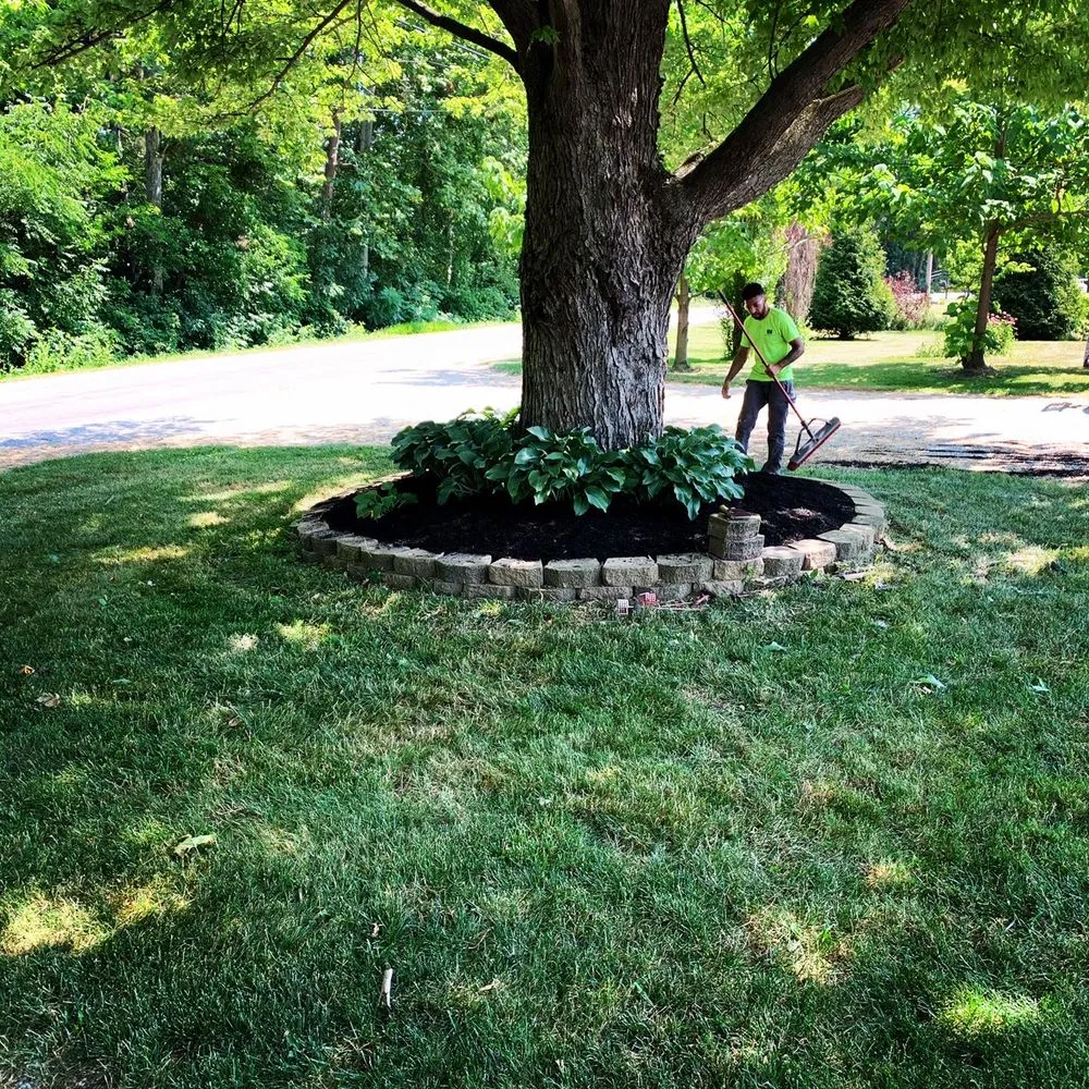 Professional yard cleanup service experts serving Sandusky, OH - Alliance Property Management Services