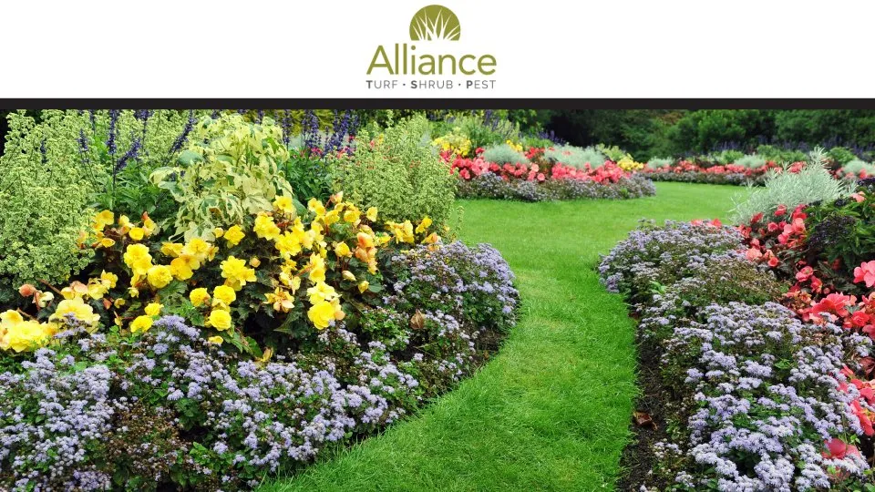 Reliable yard maintenance for beautiful yards across Madison, GA - Alliance TSP