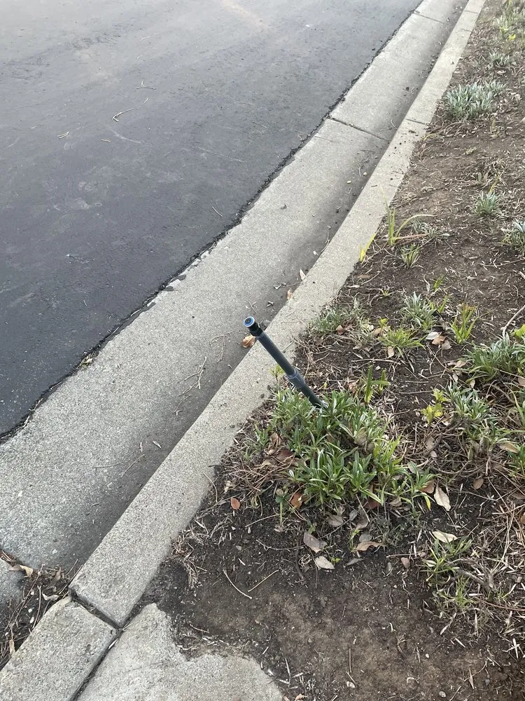 Expert lawn care service in Livermore, CA by Allied Landscape