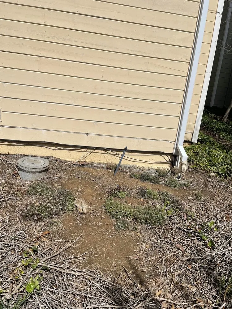 Affordable lawn care service in Livermore, CA by Allied Landscape