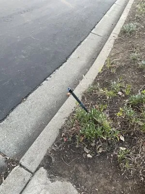 Allied Landscape Logo