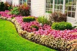 Top-rated residential landscaping in Abilene, TX - Allied Landscape Services
