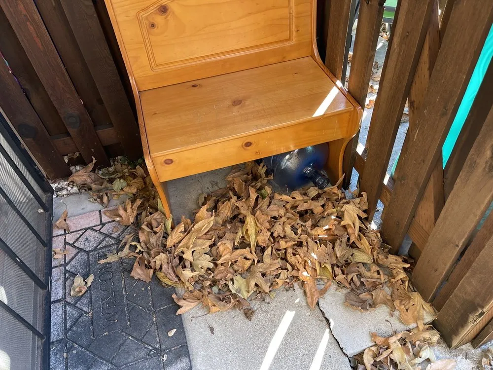 Affordable lawn mowing service in Livermore, CA - Allied Landscape Services