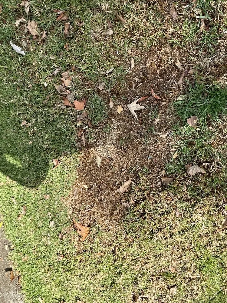 Local residential landscaping in Livermore, CA by Allied Landscape Services