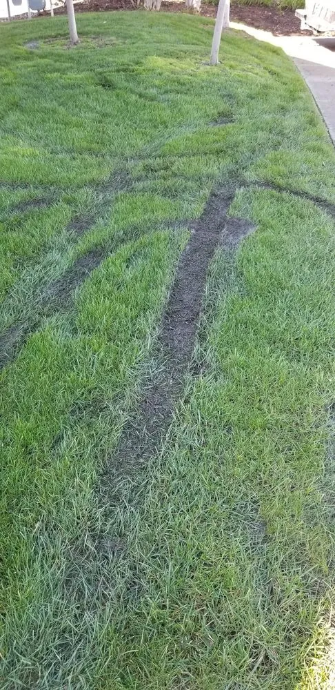 Custom residential landscaping experts serving Livermore, CA - Allied Landscape Services