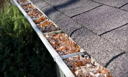 Local landscaping services with custom design across Denver, CO - Allied Roofing & Contracting