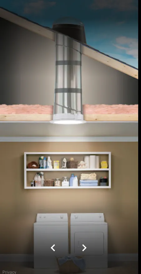 Expert yard cleanup service in Denver, CO - Allied Roofing & Contracting