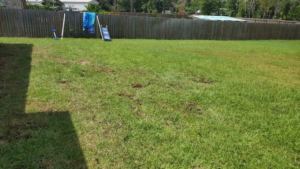 Local landscaping services for residential properties in Milton, FL by Allied Sod Farms