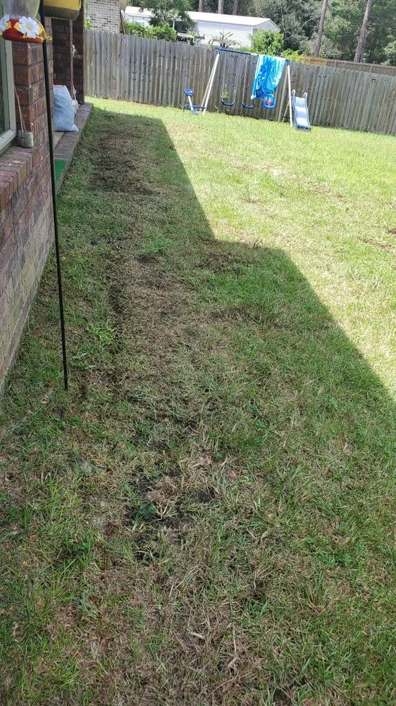 Trusted garden landscaping with custom design across Milton, FL - Allied Sod Farms