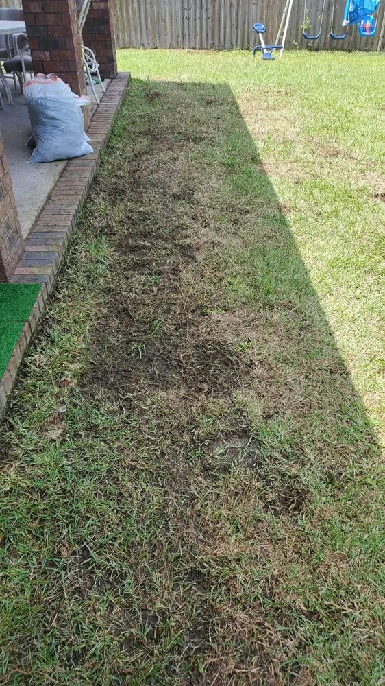 Custom lawn care service experts serving Milton, FL - Allied Sod Farms