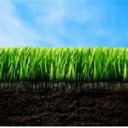 Affordable outdoor landscaping for outdoor upgrades in Milton, FL by Allied Sod Farms