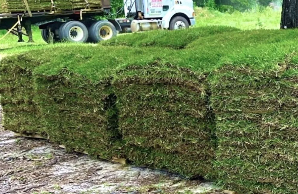 Reliable lawn care service in Milton, FL by Allied Sod Farms