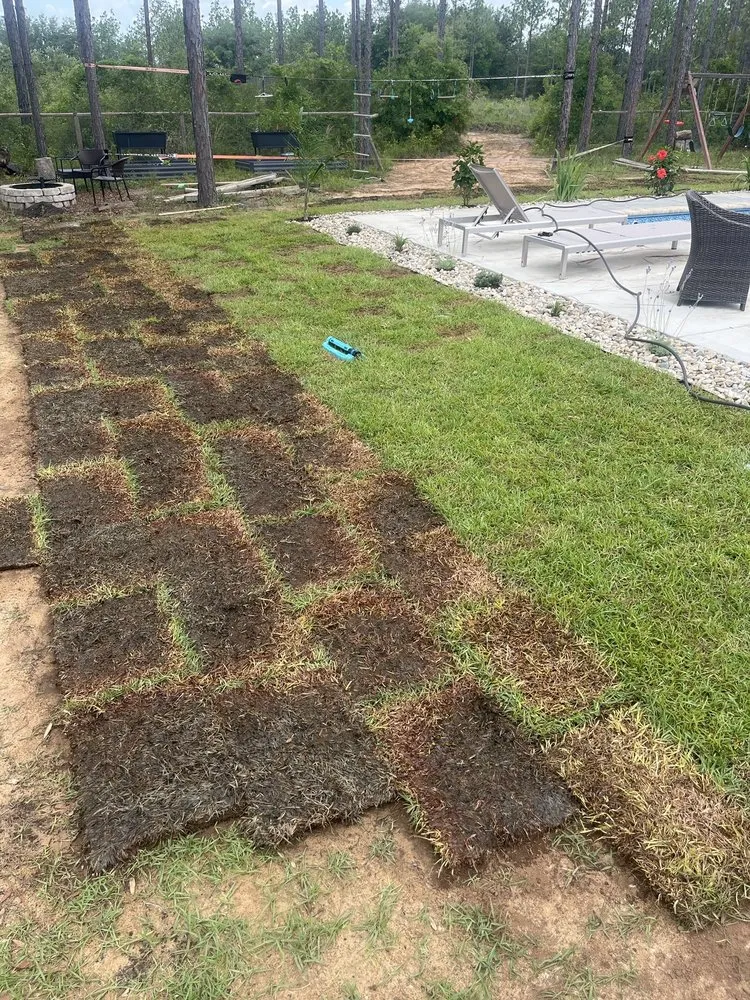 Local landscape design experts serving Milton, FL - Allied Sod Farms