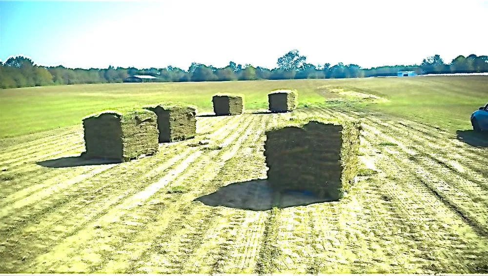 Affordable outdoor landscaping near you across Milton, FL - Allied Sod Farms