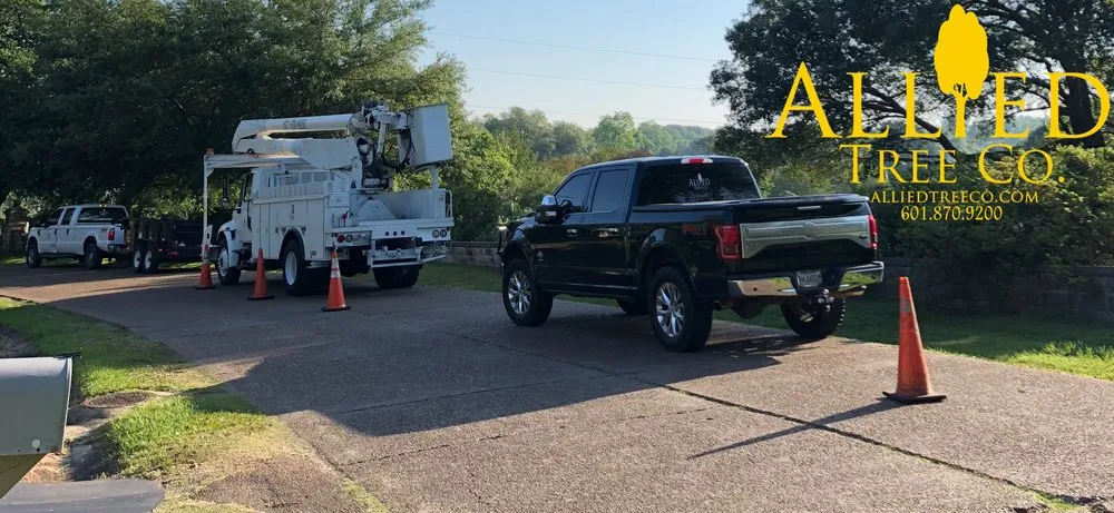 Top-rated garden landscaping for year-round maintenance across Natchez, MS - Allied Tree Company