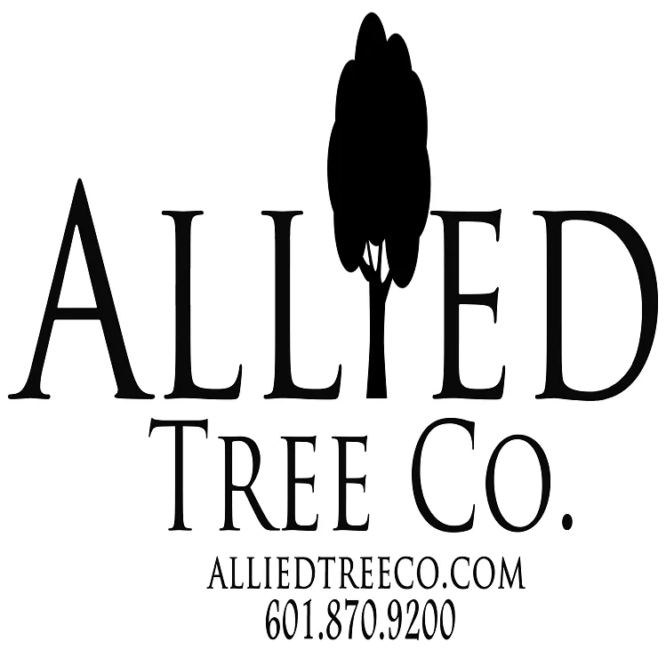 Top-rated yard cleanup service experts serving Natchez, MS - Allied Tree Company
