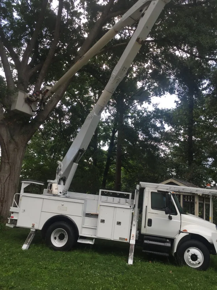 Local outdoor landscaping for year-round maintenance across Natchez, MS - Allied Tree Company