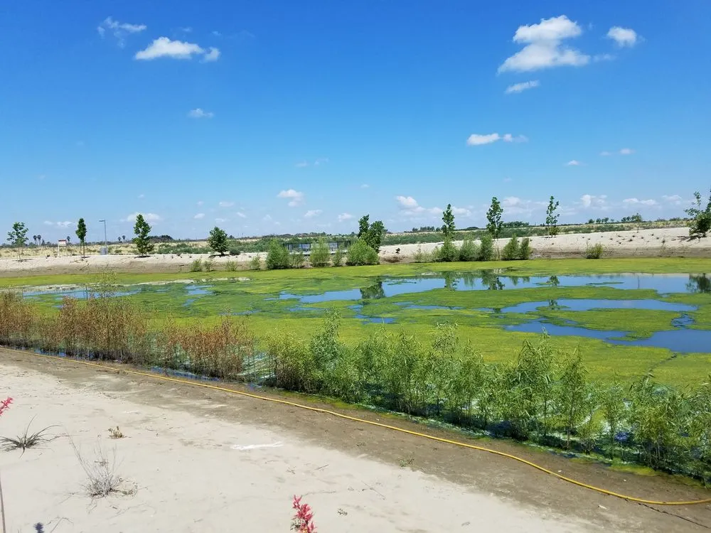 Local outdoor landscaping in Livingston, CA by Allied Weed Control