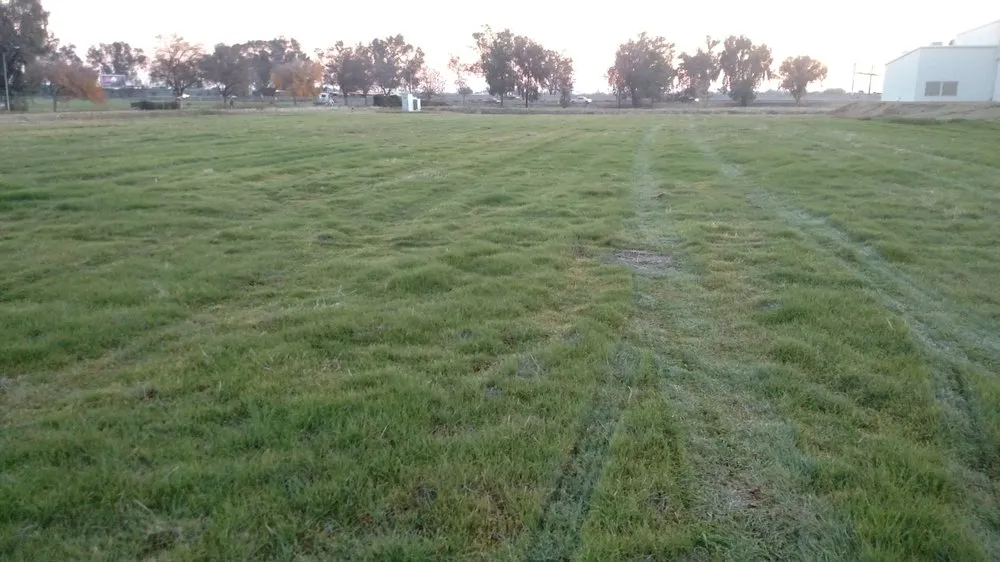 Custom landscape design in Livingston, CA by Allied Weed Control