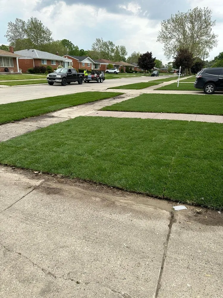 Custom residential landscaping for year-round maintenance across Dearborn, MI - Allies Lawn & Snow
