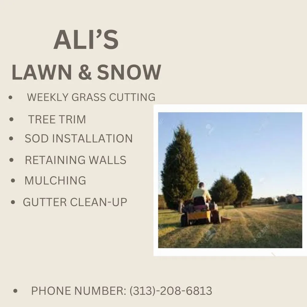 Local yard maintenance in Dearborn, MI by Allies Lawn & Snow