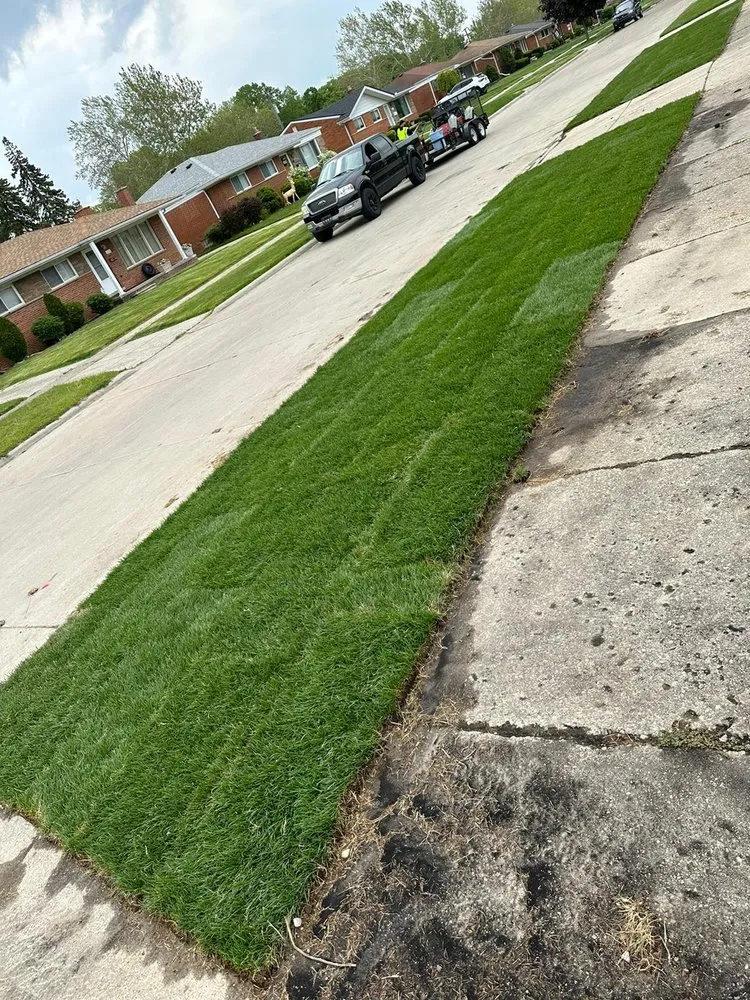 Top-rated outdoor landscaping in Dearborn, MI by Allies Lawn & Snow