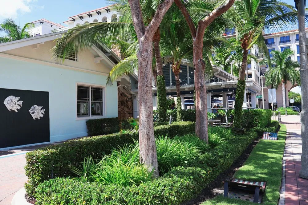 Expert landscaping services in Boca Raton, FL - Alligator Landscaping