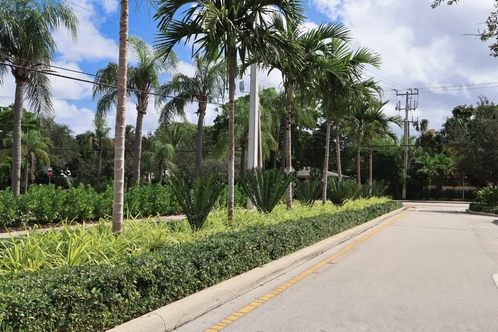 Top-rated landscape design in Boca Raton, FL by Alligator Landscaping