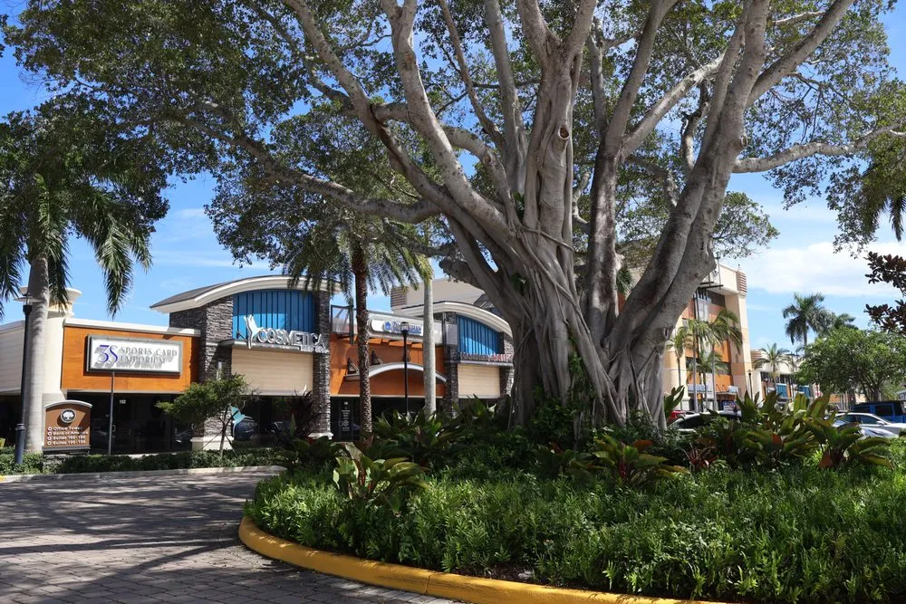 Reliable lawn mowing service in Boca Raton, FL - Alligator Landscaping