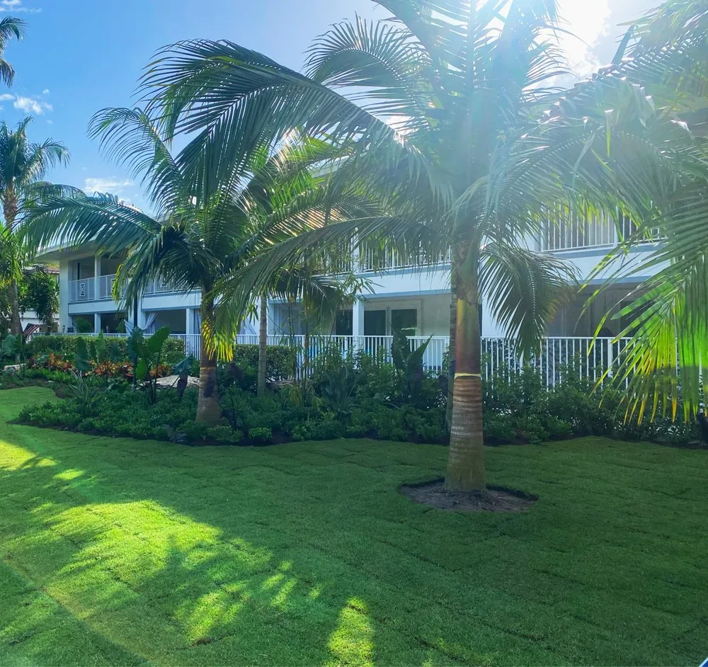 Reliable landscape design with custom design in Boca Raton, FL by Alligator Landscaping