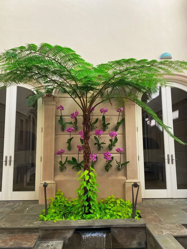 Local lawn care service in Boca Raton, FL by Alligator Landscaping