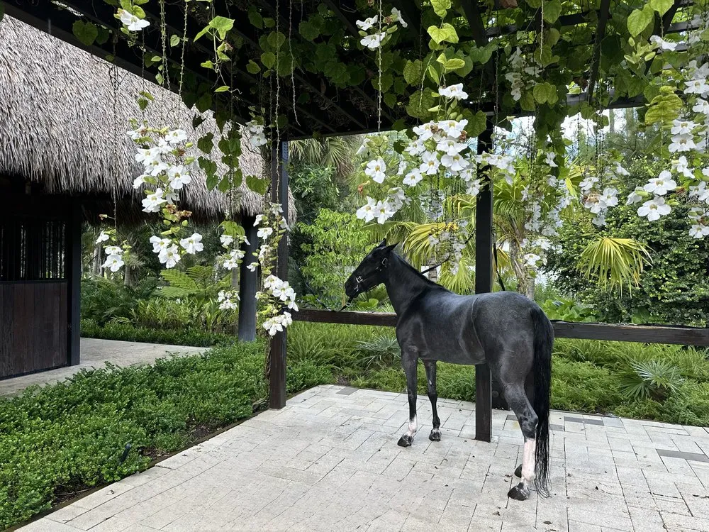 Expert residential landscaping experts serving Boca Raton, FL - Alligator Landscaping