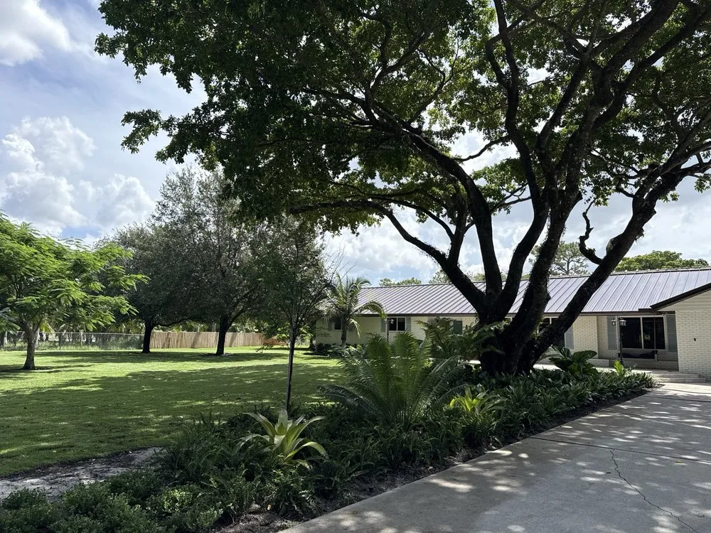 Trusted landscape installation for beautiful yards across Boca Raton, FL - Alligator Landscaping