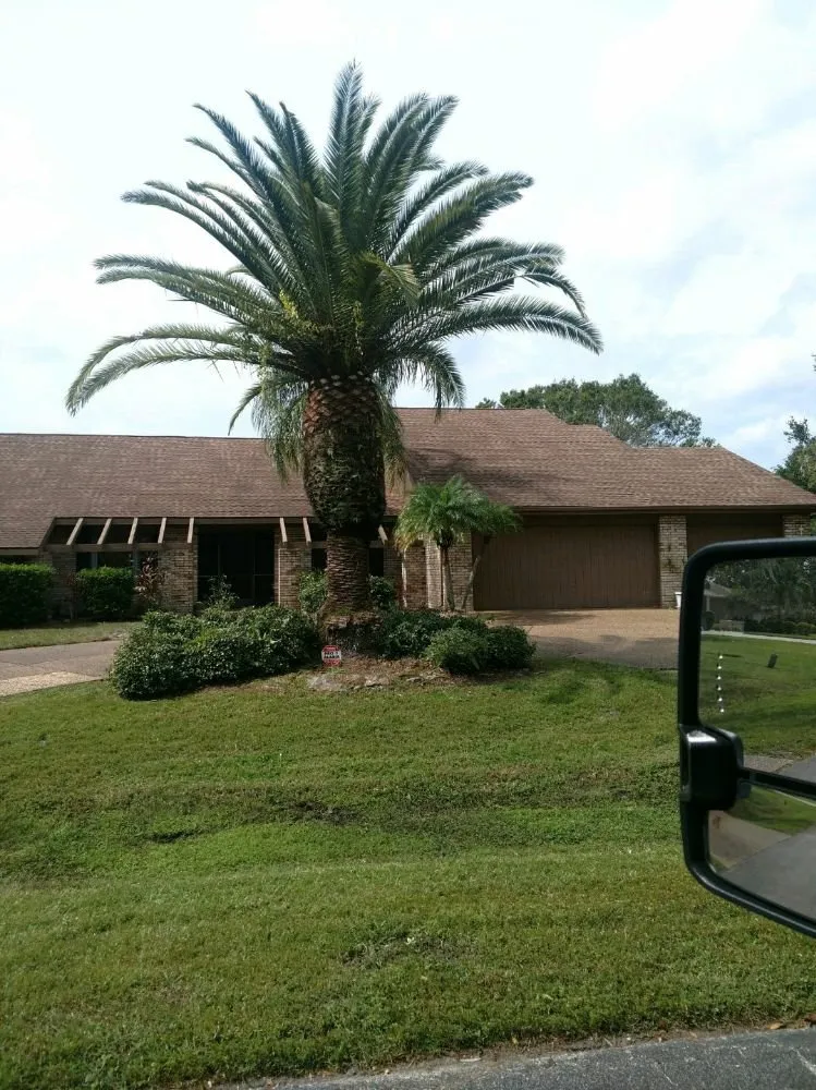 Local residential landscaping for beautiful yards in Sarasota, FL by Alligator Tree Service