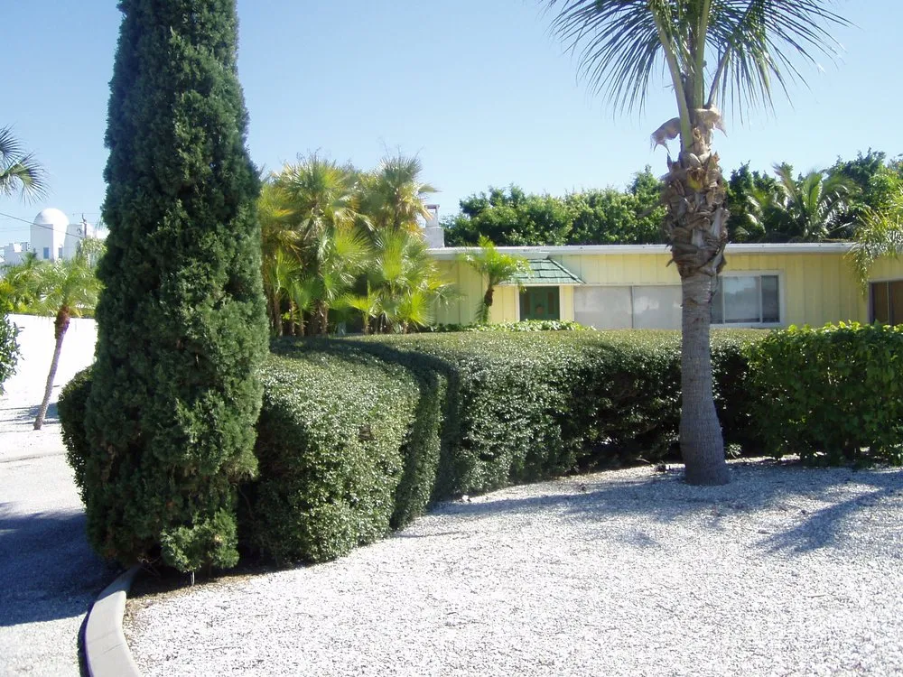 Top-rated outdoor landscaping experts serving Sarasota, FL - Alligator Tree Service