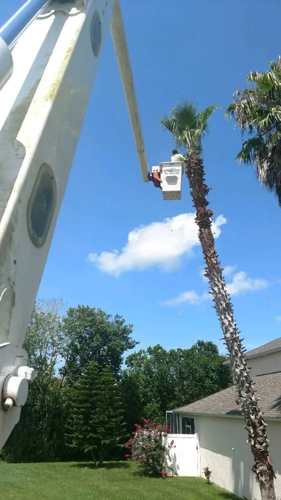 Professional yard maintenance with custom design in Sarasota, FL by Alligator Tree Service