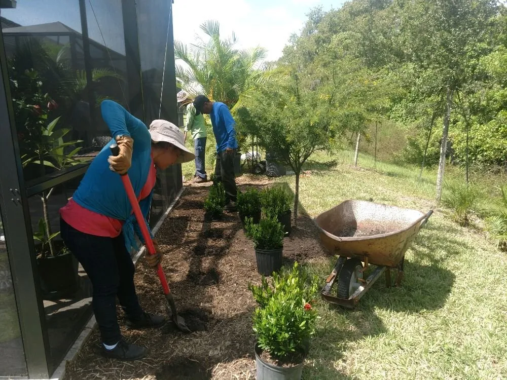 Affordable lawn mowing service in Sarasota, FL - Alligator Tree Service