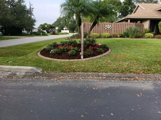 Alligator Tree Service Logo